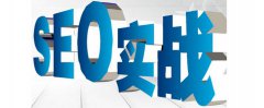 SEO教程做网站seo需要学什么技术