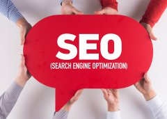 免费seo教程「湖南网站优化」从网页设计类型分