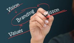 seo课程一个不错的实战SEO案例分析