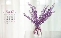 浅谈搜索免费seo教程引擎优化的小技巧