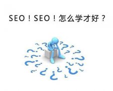 seo怎么学？seo零基础从哪里入手免费seo教