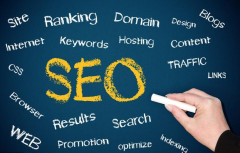 seo课程SEO整站优化策略与技巧。