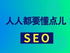技术手段优化seo注意细节