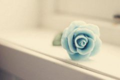 百度绿萝算法是什么？分析百度绿萝算法
