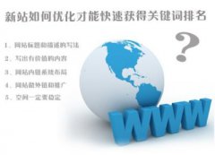 如何高效率的优化网站关键词？